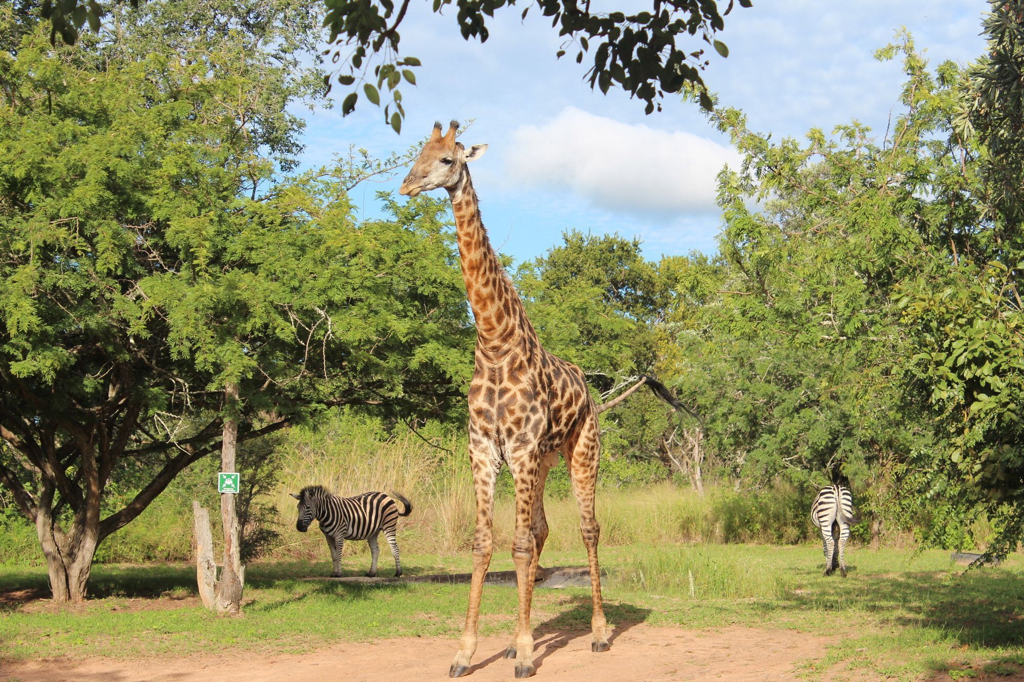 Thornhill Safari Lodge Hoedspruit Exterior photo